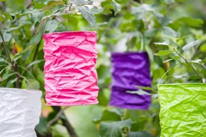 patio lanterns for pool party