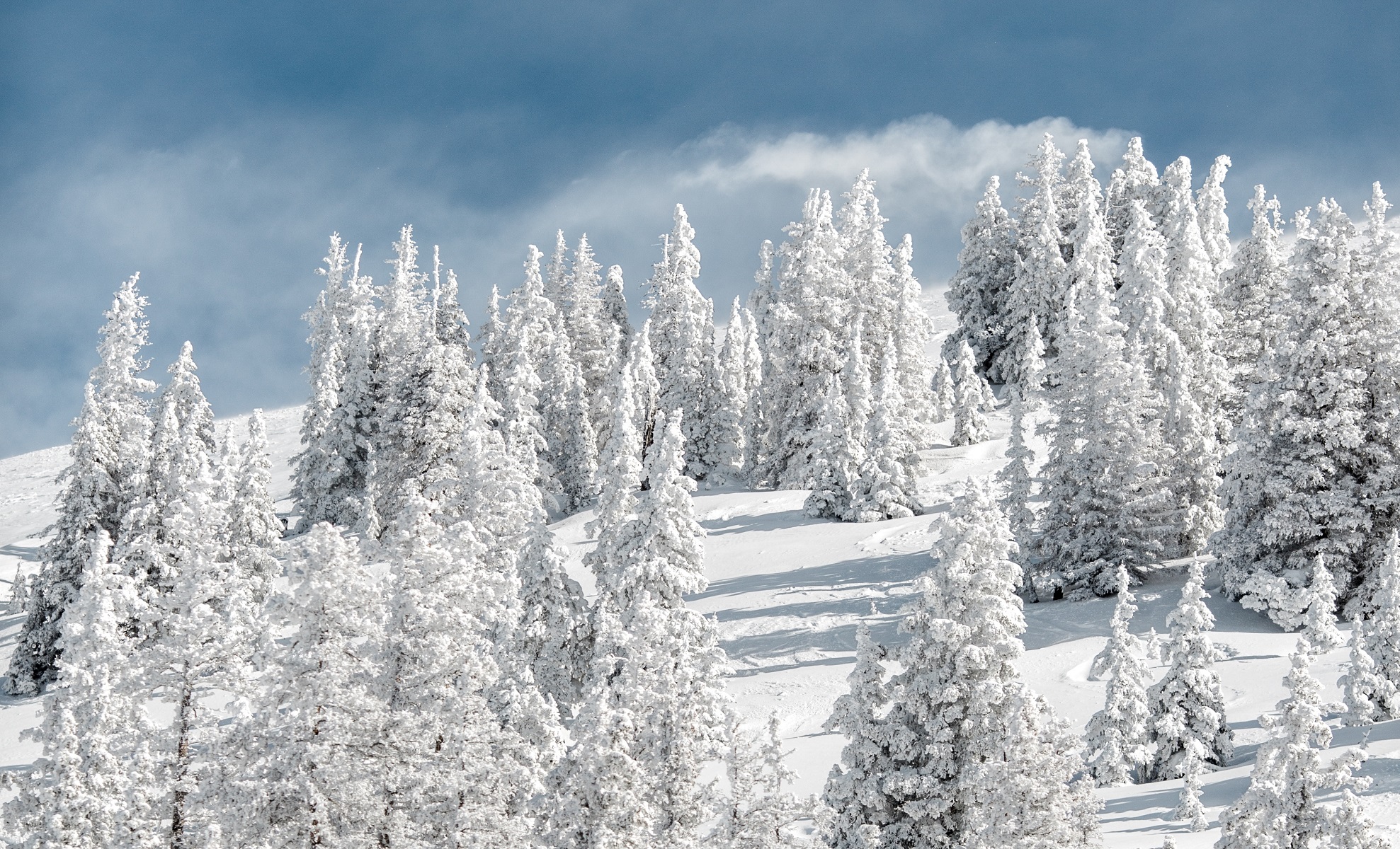 Chic Shimmery Winter Décor