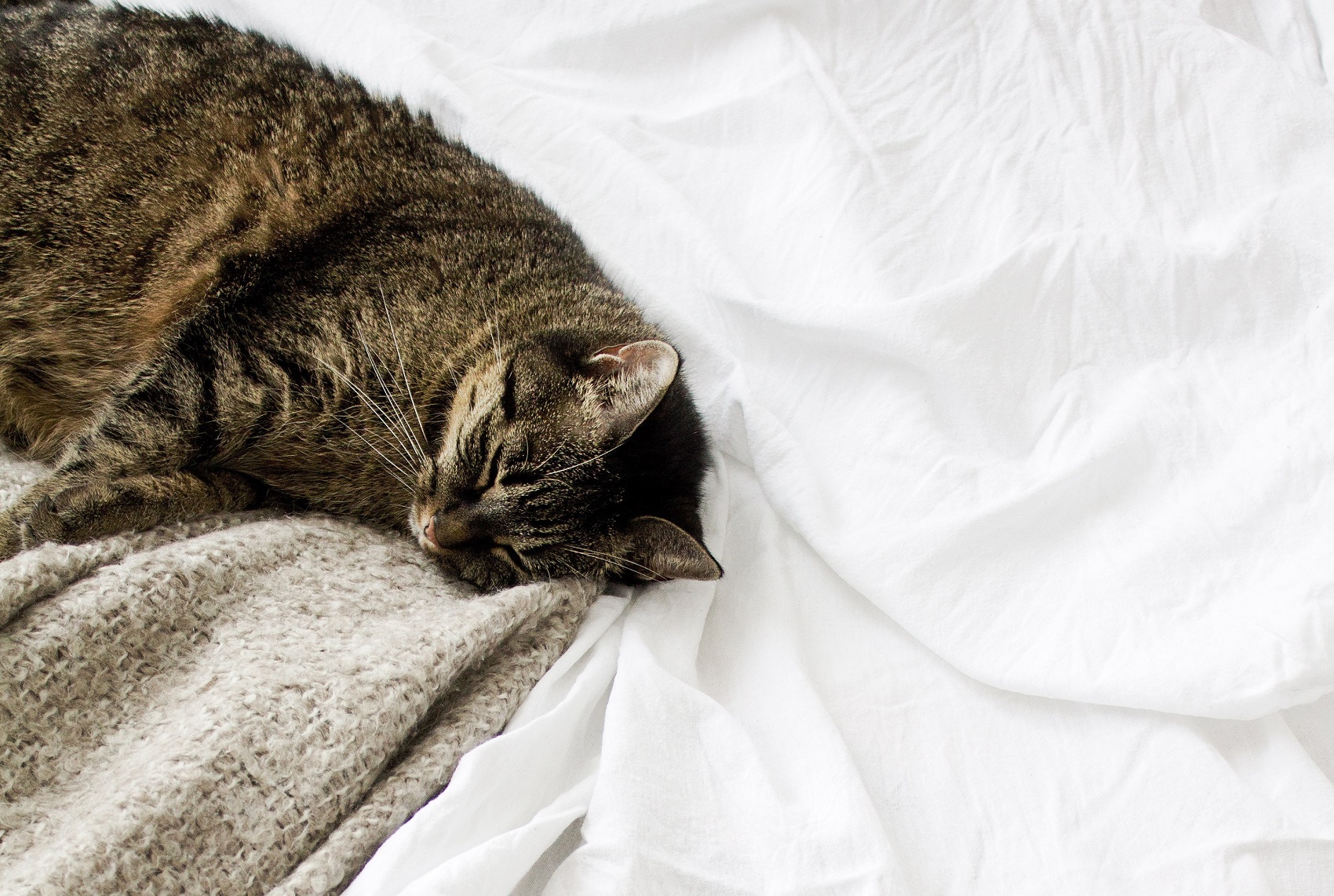 Furniture Shades & Textures To Keep You Warm