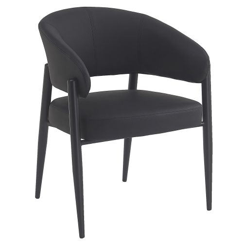 Bronson Dining/Lounge Chair, Set of 2 in Black and Black