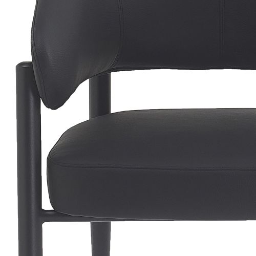 Bronson Dining/Lounge Chair, Set of 2 in Black and Black