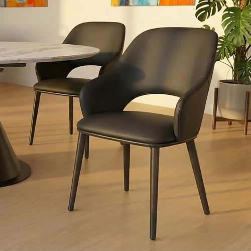 Denzel Dining/Lounge Chair, Set of 4 in Black and Black