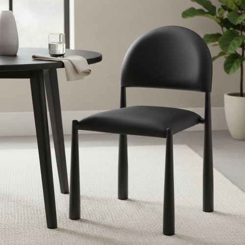 Auggie Dining/Lounge Chair, Set of 4 in Black and Black