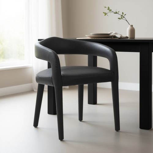 Caden Dining/Lounge Chair, Set of 2 in Charcoal