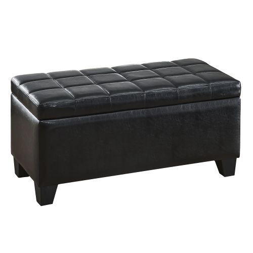 Winston Storage Ottoman Bench in Black